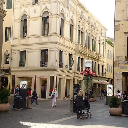 Canton Del Gallo *